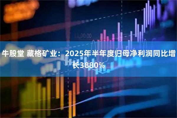 牛股堂 藏格矿业:2025年半年度归母净利润同比增长3880%